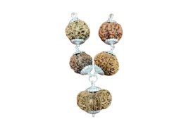 Customized Rudraksha Pendant