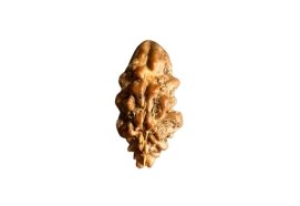 Ek Mukhi Nepali Rudraksha