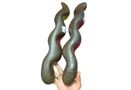Nag Nagin Shaligram