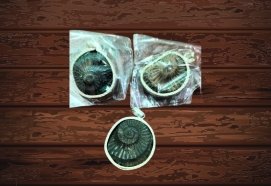 Shaligram Pendant